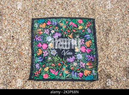 Coquillages à Playa Conchal, une plage faite de coquillages, Guanacaste, Costa Rica Banque D'Images