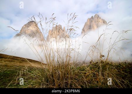 Documentation photographique des Dolomites du groupe Sasso Lungo Banque D'Images