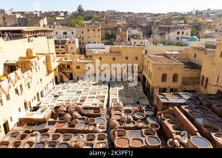 FÈS, MAROC - 31 OCTOBRE 2021 : les gens qui teint du cuir à Chouara Tannery, où l'un des endroits les plus populaires à visiter à Fès Banque D'Images