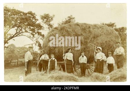Carte postale originale d'évocateurs agriculteurs édouardiens dans un champ récoltant du foin, l'agriculture édouardienne. Toute la famille aidant au moment de la récolte, posté / daté septembre 1906, Livesey, Blackburn, Lancashire, England, ROYAUME-UNI Banque D'Images
