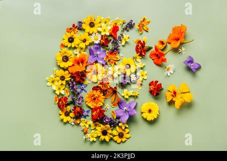 Symbole de la tête humaine avec des fleurs orange, bleues et jaunes sur fond vert. Santé mentale, bien-être émotionnel, émotions contentées, autosoins, psychologie, pensée verte, concept d'écologie Banque D'Images