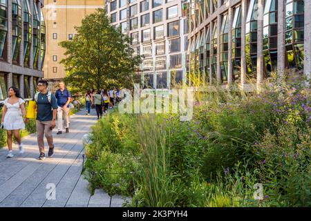 High Line Elevated Park, Manhattan, New York, États-Unis Banque D'Images