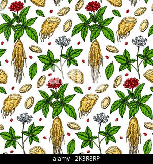 Motif sans couture coloré de ginseng dessiné à la main. Illustration vectorielle dans le style d'esquisse. Antécédents de plantes médicinales. Conception botanique Illustration de Vecteur