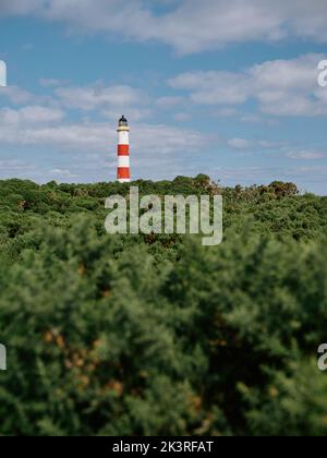 Phare de Tarbat Ness dans une mer de gorge, Tarbat Ness, Tain & Easter Ross, Cromartyshire, Écosse, Royaume-Uni Banque D'Images