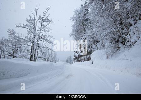 Route en forêt avec neige couverte. Hiver. Paysage. Route forestière de montagne enneigée Banque D'Images
