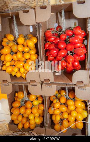 Turin, Salone del Gusto, des petits pains de tomates rouges et jaunes exposés au Salone del Gusto 2022 Banque D'Images