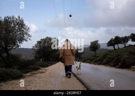 Une femme et un chat marchent côte à côte sur une route dans la campagne, le jour d'un hiver nuageux Banque D'Images