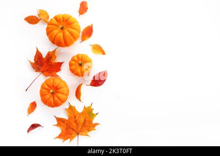Citrouilles avec feuilles d'automne sur fond blanc. Vue de dessus. Banque D'Images