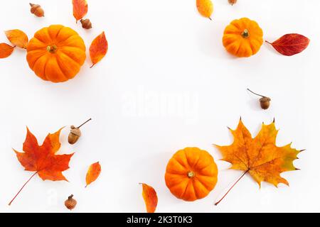 Citrouilles avec feuilles d'automne sur fond blanc. Vue de dessus. Banque D'Images