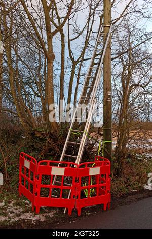 Échelle d'ingénieur de téléphone, gauche vers le haut d'un poteau téléphonique, problème de sécurité sanitaire, travail solitaire, Appleton, Warrington, Cheshire, Angleterre, Royaume-Uni, WA4 5NJ Banque D'Images