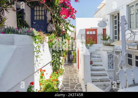 Île de Naxos, Grèce. Architecture traditionnelle des Cyclades bâtiments blanchis à la chaux, plantes et fleurs, boutique de souvenirs, allée pavée. Vacances d'été destinat Banque D'Images