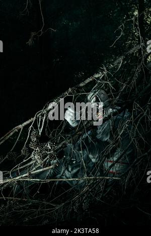 un clown mal chauve créepy, portant un costume gris avec une ruff blanche, se trouve à l'observateur avec un sourire effrayant à travers les branches d'un pin sec Banque D'Images