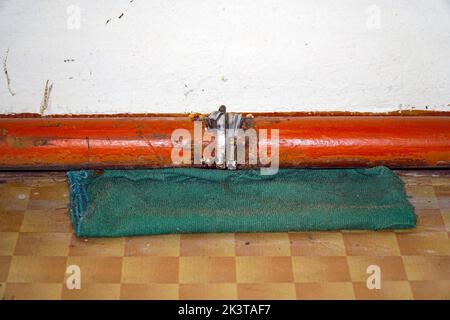 Fixer le raccord sur un tuyau d'eau qui fuit. Mise au point sélective Banque D'Images