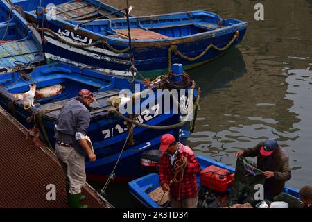 Chameaux à la vue attendant que les touristes les voyagent à Essaouira Banque D'Images