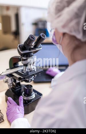 vue arrière d'une femme scientifique anonyme regardant au microscope en laboratoire Banque D'Images
