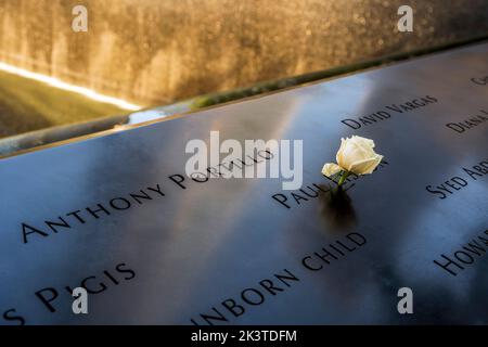 Rose blanche à gauche sur le parapet qui embarque dans la piscine du Mémorial et musée national de 11 septembre, Manhattan, New York, États-Unis Banque D'Images
