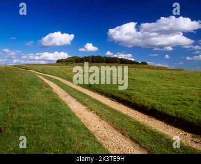 Badbury Rings, Blandford Road, Kingston Lacy, Dorset, Angleterre, ROYAUME-UNI. Vue vers l'est sur la voie moderne avec fort sur une colline arborée. La piste est Banque D'Images