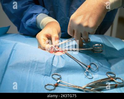 De dessus chirurgien anonyme utilisant des ciseaux pour couper la chair tout en travaillant dans le bloc opératoire à l'hôpital Banque D'Images