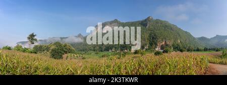 Paysage panoramique de montagne karstique pittoresque avec champ de maïs en premier plan dans la belle vallée agricole près de Chiang Dao, Chiang Mai, Thaïlande Banque D'Images