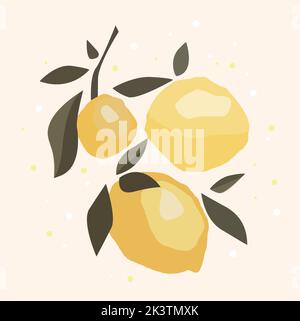 Citron, ensemble de demi-citron, tranche et feuille, citron sur fond blanc. Illustration vectorielle. Banque D'Images