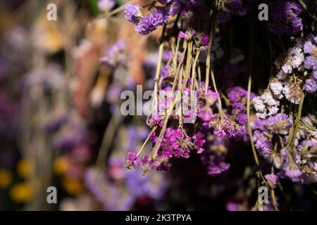 Gros plan sur une couronne de fleurs séchées violettes dans une boutique de design d'intérieur Banque D'Images