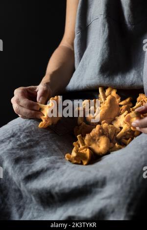 Dose sans visage de personne dans un tablier gris rugueux avec pile de chanterelle fraîche sur les genoux Banque D'Images
