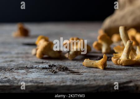 Gros plan du champignon chanterelle orange sauvage dans le sol allongé sur une table grise avec du tissu Banque D'Images