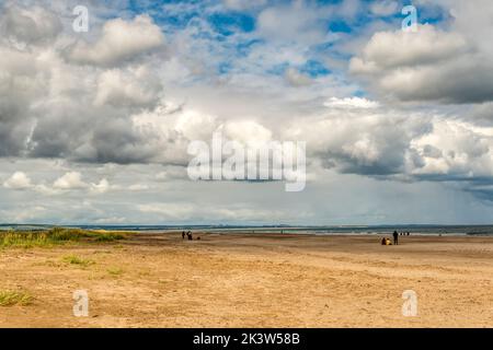 Vue vers le nord le long de Tentsmuir Sands à Fife, en Écosse. Banque D'Images