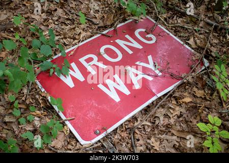 Panneau de la rue Fallen worg Way sur le sol d'une forêt Banque D'Images