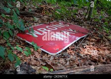 Panneau de la rue Fallen worg Way sur le sol d'une forêt Banque D'Images