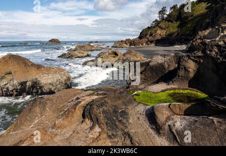 WA22077-00...WASHINGTON - Pointe séparant la plage de Kalaloch de la plage 3 sur la côte du Pacifique dans le parc national olympique. Banque D'Images