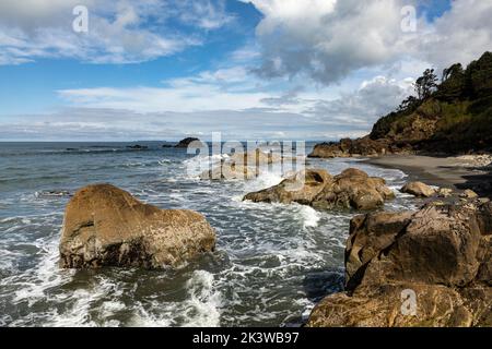 WA22079-00...WASHINGTON - Pointe séparant la plage de Kalaloch de la plage 3 sur la côte du Pacifique dans le parc national olympique. Banque D'Images