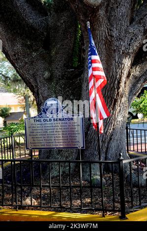 Saint Augustine/Floride/ Etats-Unis - 05 décembre 2017./Sanit Auustine oldes et la plus belle ville lief en ville et de la vie de trevel en ville. (Photo.Francis Joseph Dean/Dean Pictures) Banque D'Images