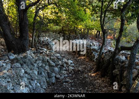 Sentier de randonnée bordé de murs en pierre près de Nerezine sur l'île de Losinj Banque D'Images