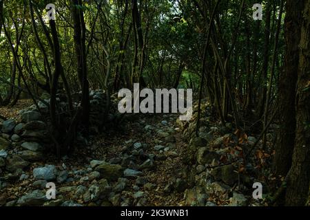 Sentier de randonnée bordé de murs en pierre près de Nerezine sur l'île de Losinj Banque D'Images