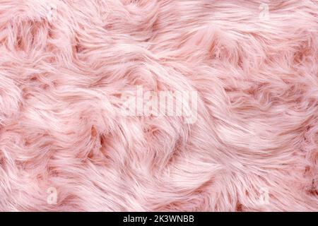 Vue de dessus de texture fourrure rose. Fond de peau de mouton rose. Motif fourrure. Texture de fourrure rose à poils longs. Texture de la laine. Fourrure de mouton en gros plan Banque D'Images