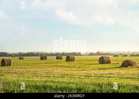 Balles de foin au coucher du soleil. Campagne paysage naturel avec récolte de foin en flèche dans le paysage de champ doré. Scène rurale agriculture champ avec ciel. Foin Banque D'Images