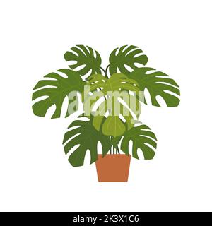 Plante d'origine en pot isolée sur fond blanc. Concept d'intérieur. Style dessin animé plat. Illustration vectorielle Illustration de Vecteur