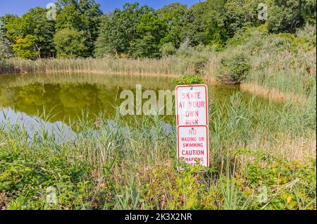 Ryder Pond à North Haven, NY Banque D'Images