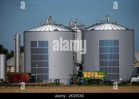 L'usine de biogaz de RWE Bergheim-Paffendorf, ici des cultures de l'agriculture régionale, des plantes entières, de l'ensilage d'herbe et de maïs, du seigle vert, de la betterave à sucre et de la lucerne, ar Banque D'Images