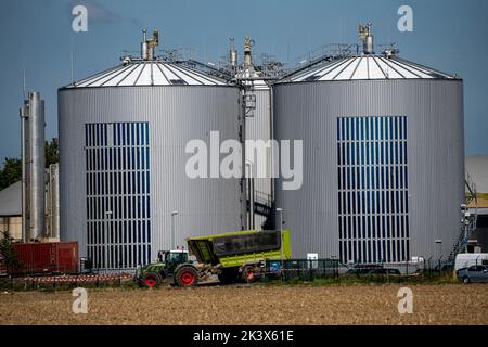 L'usine de biogaz de RWE Bergheim-Paffendorf, ici des cultures de l'agriculture régionale, des plantes entières, de l'ensilage d'herbe et de maïs, du seigle vert, de la betterave à sucre et de la lucerne, ar Banque D'Images