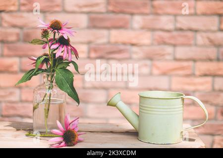 Bouquet d'Echinacea Purpurea dans un vase en verre sur la table en bois avec fond de brique. Fleurs violettes en bouteille. Copier l'espace pour le texte. Banque D'Images