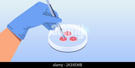 mains de scientifiques tenant la viande brute rouge de culture faite de cellules animales artificiel de laboratoire de production de viande concept Illustration de Vecteur