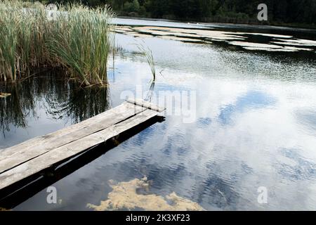 pont de pêche en bois sur un lac rural confortable, jetée entre les roseaux, vue panoramique sur l'étang au printemps. Banque D'Images