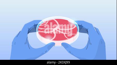 mains de scientifiques tenant la viande brute rouge de culture faite de cellules animales artificiel de laboratoire de production de viande concept Illustration de Vecteur