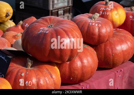 Cendrillon citrouilles rouges sur le marché Banque D'Images