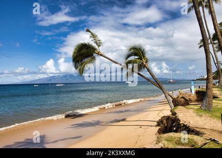 Érosion des côtes résultant des effets du réchauffement climatique. Banque D'Images