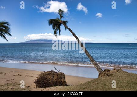 Érosion côtière majeure due au réchauffement de la planète. Banque D'Images