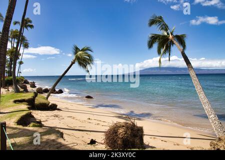 Le changement climatique et le réchauffement climatique causent des dégâts à la planète. Banque D'Images