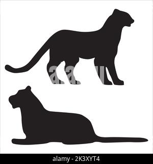 Illustration de l'ensemble vectoriel de silhouettes de Tigres isolées sur fond blanc Illustration de Vecteur